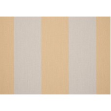 ORCD300 Wide Chine Yellow