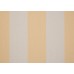 ORCD300 Wide Chine Yellow