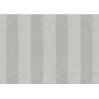 ORCD320 Pencil Grey