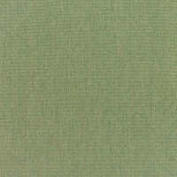 5487 Canvas Fern