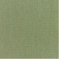 5487 Canvas Fern