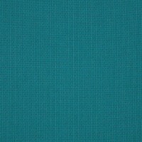 48081 Spectrum Peacock