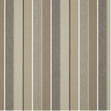 56079 Milano Char