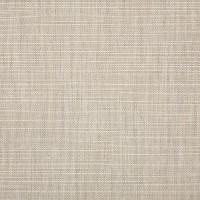 57005-0007 Echo Ash