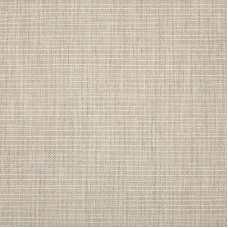 57005-0007 Echo Ash