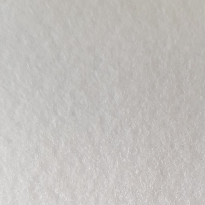STS1000ZOOM