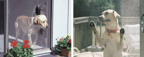 petscreen mesh